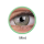 Mint (3 Tones) (1)