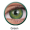 Green (3 Tones) 