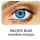 Pacific Blue (2)